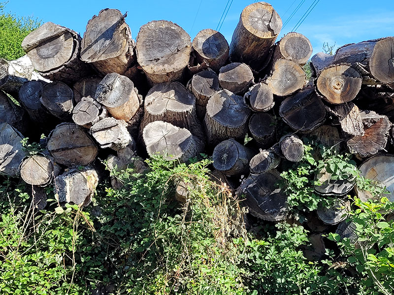 bois stock
